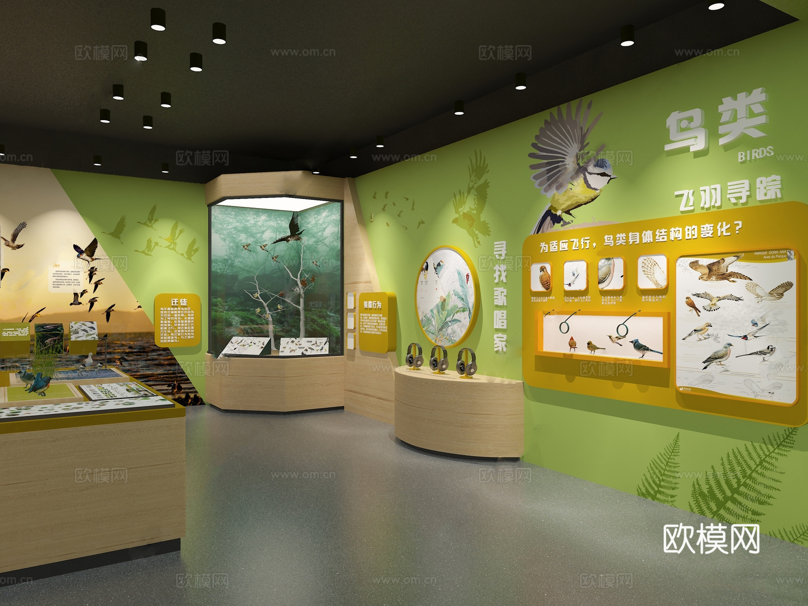 动物展厅 昆虫展厅 自然馆 生物su模型