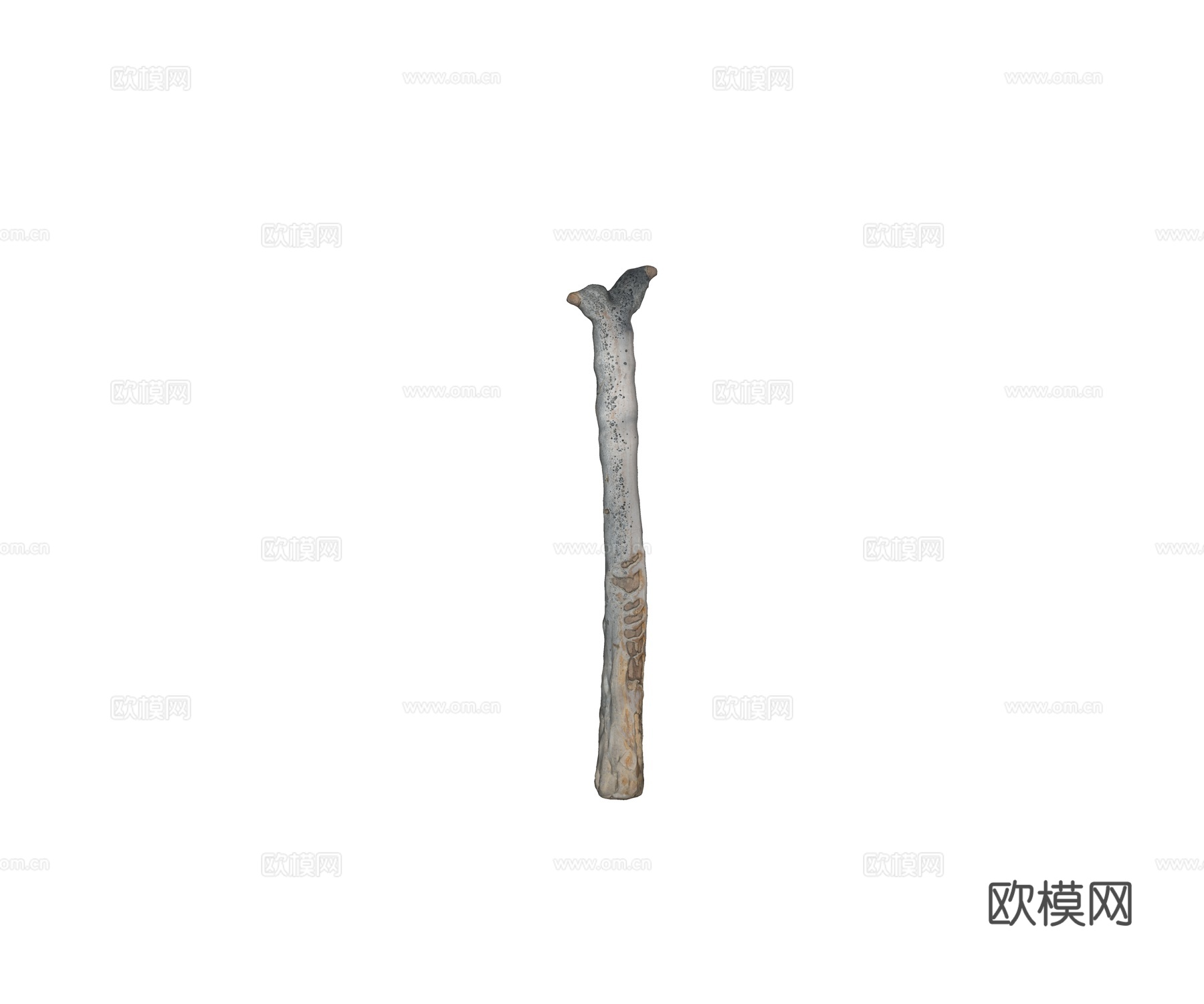 现代树桩 树根 枯树 枯木su模型