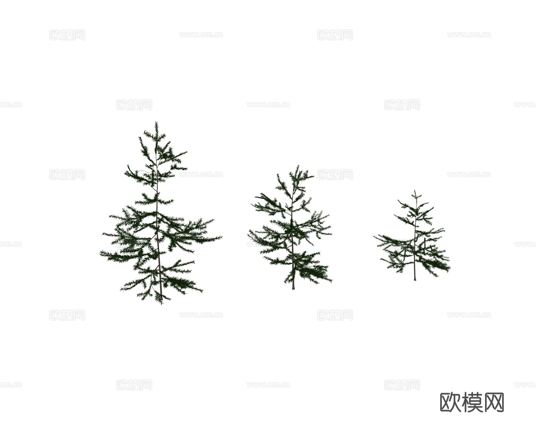 现代乔木 松树类 雪松 柏树类植物su模型