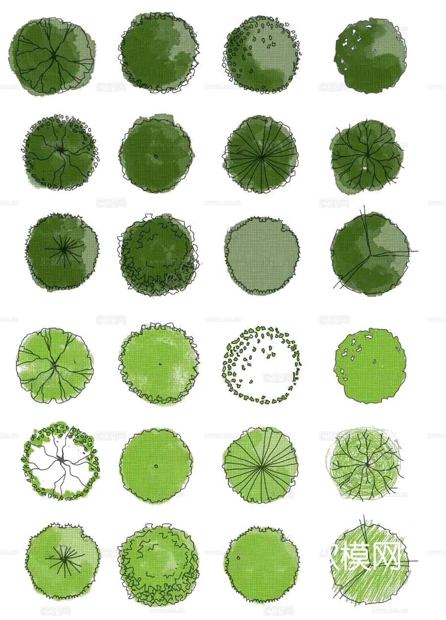 彩平植物免抠图