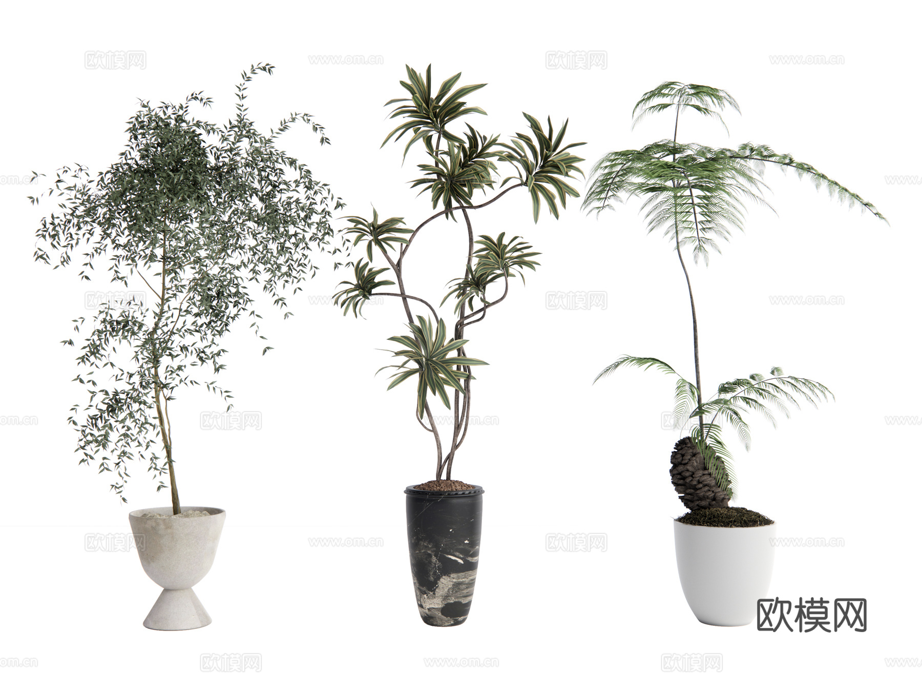 盆栽植物su模型
