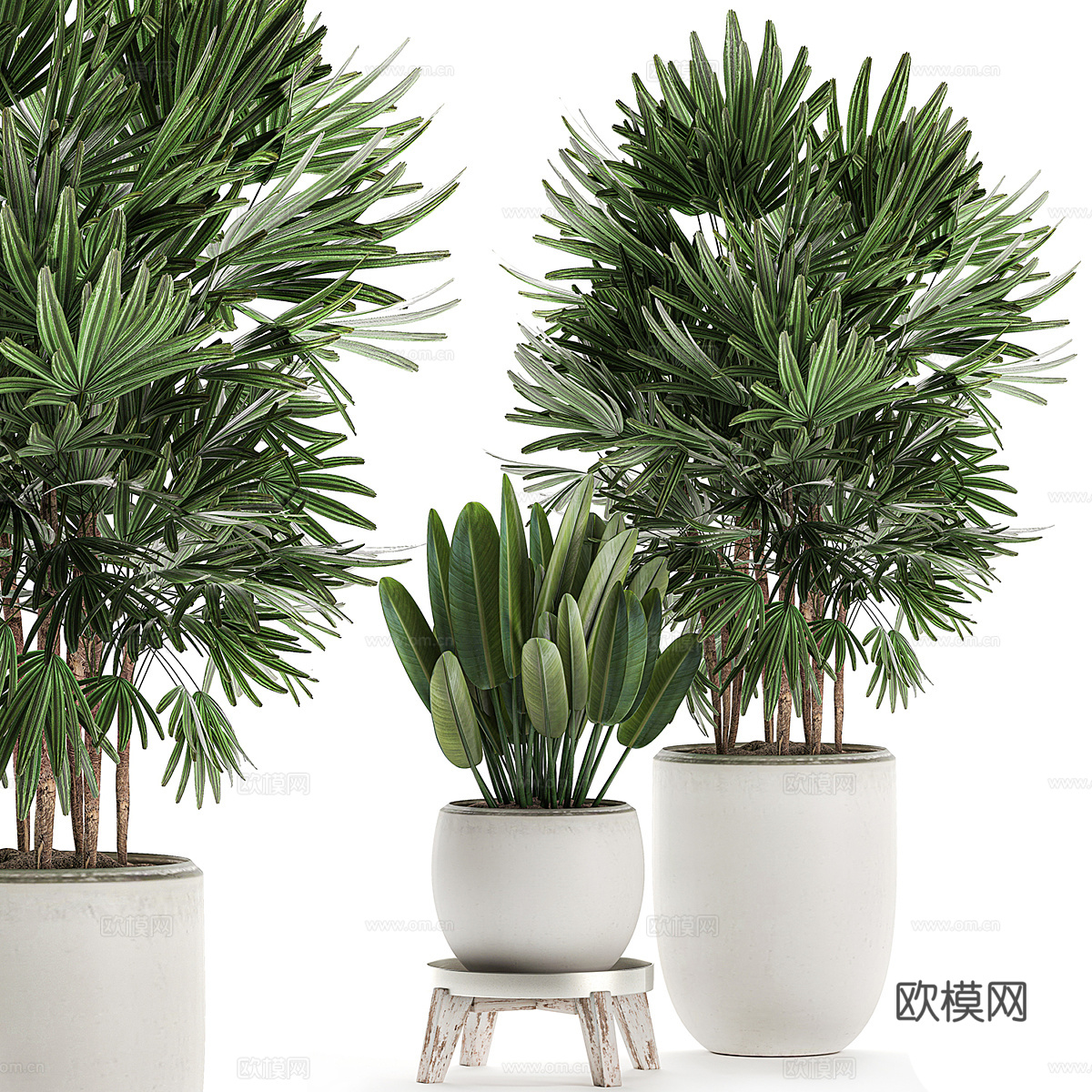 现代侘寂绿植盆栽3d模型