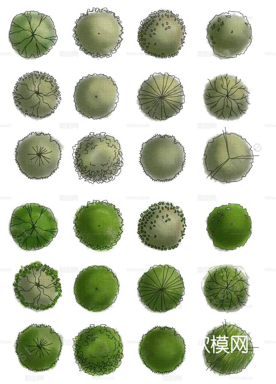 彩平植物免抠图