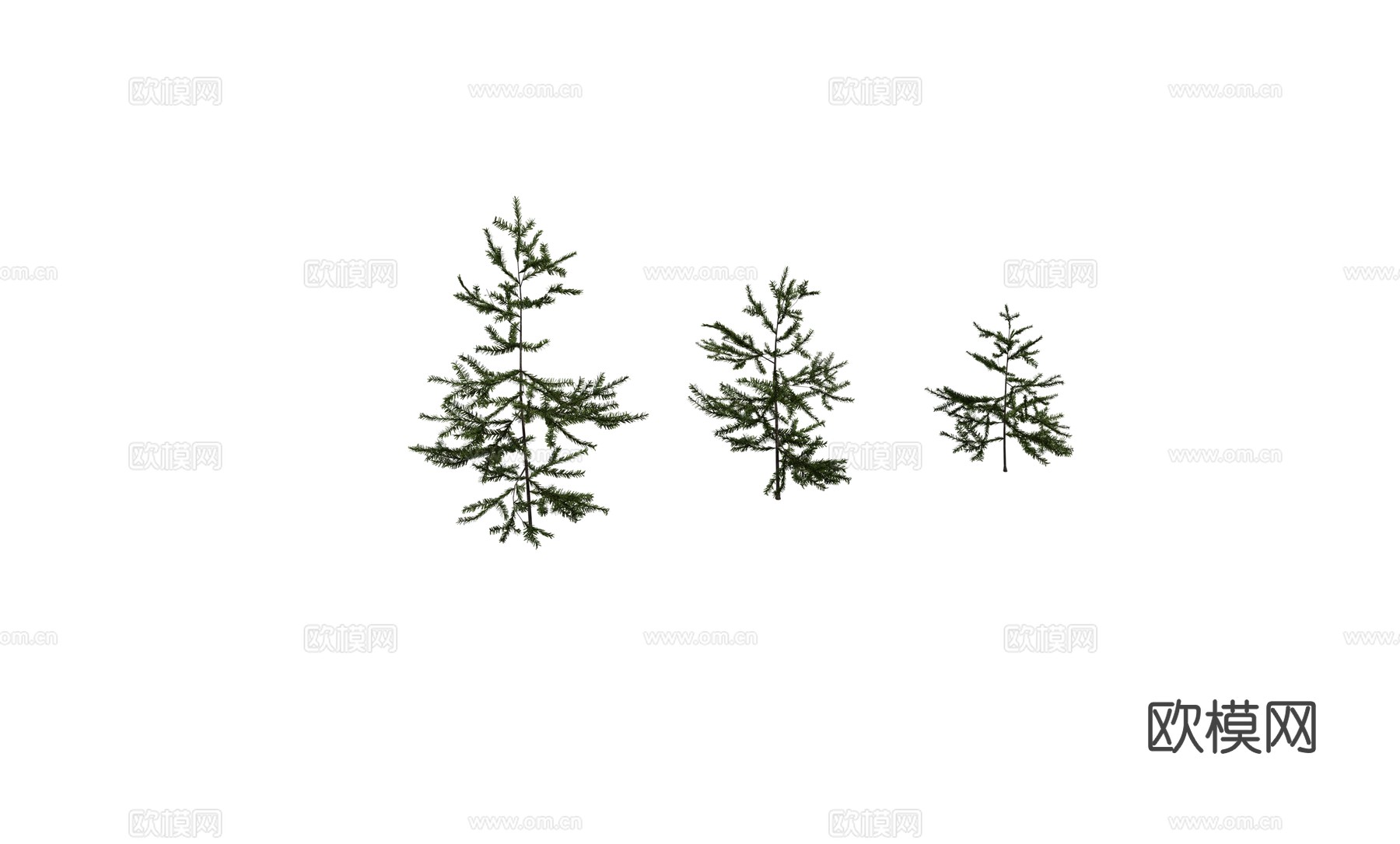 现代乔木 松树类 雪松 柏树类植物su模型