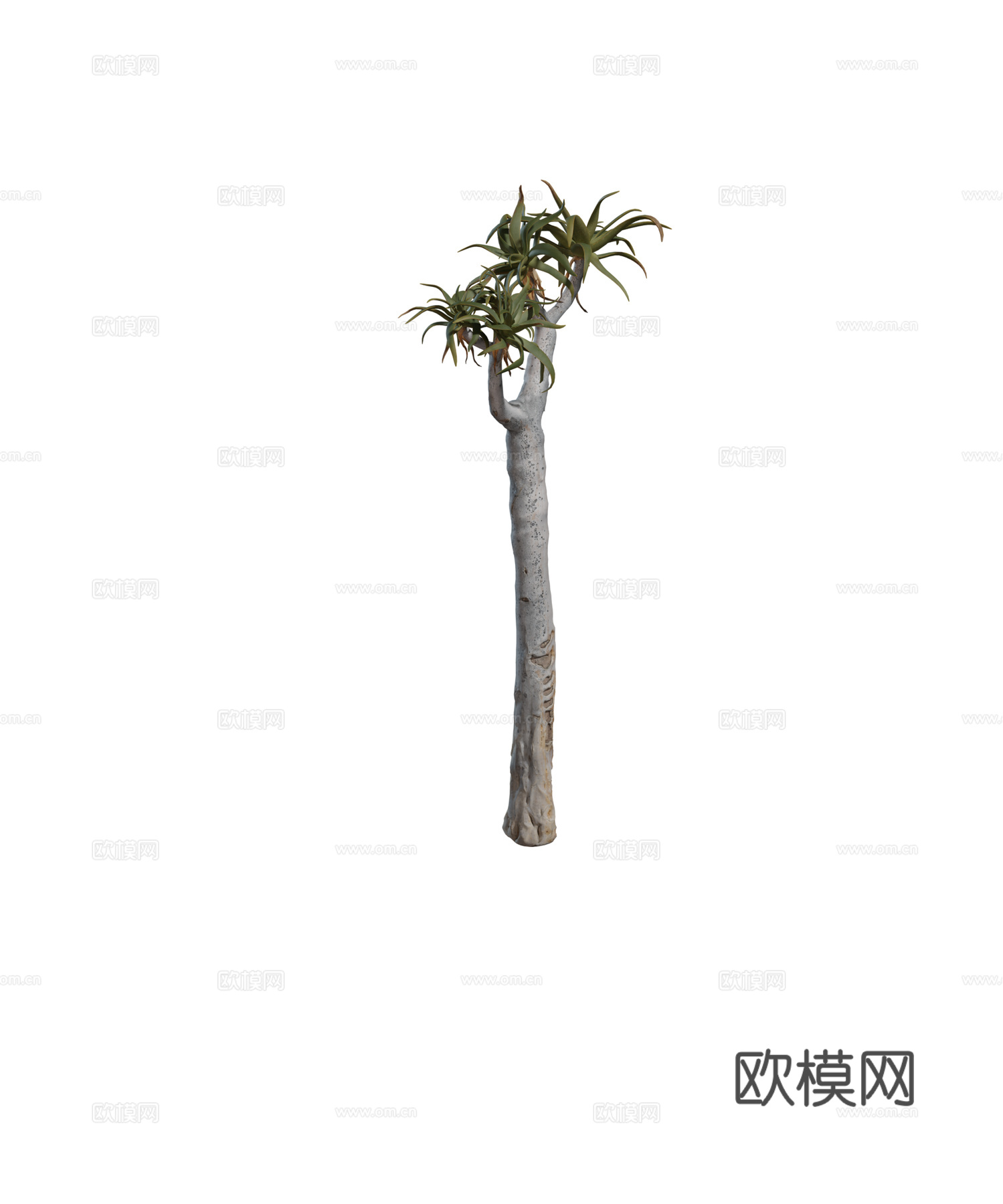 现代热带植物 海岛树 乔木 行道树 景观树su模型