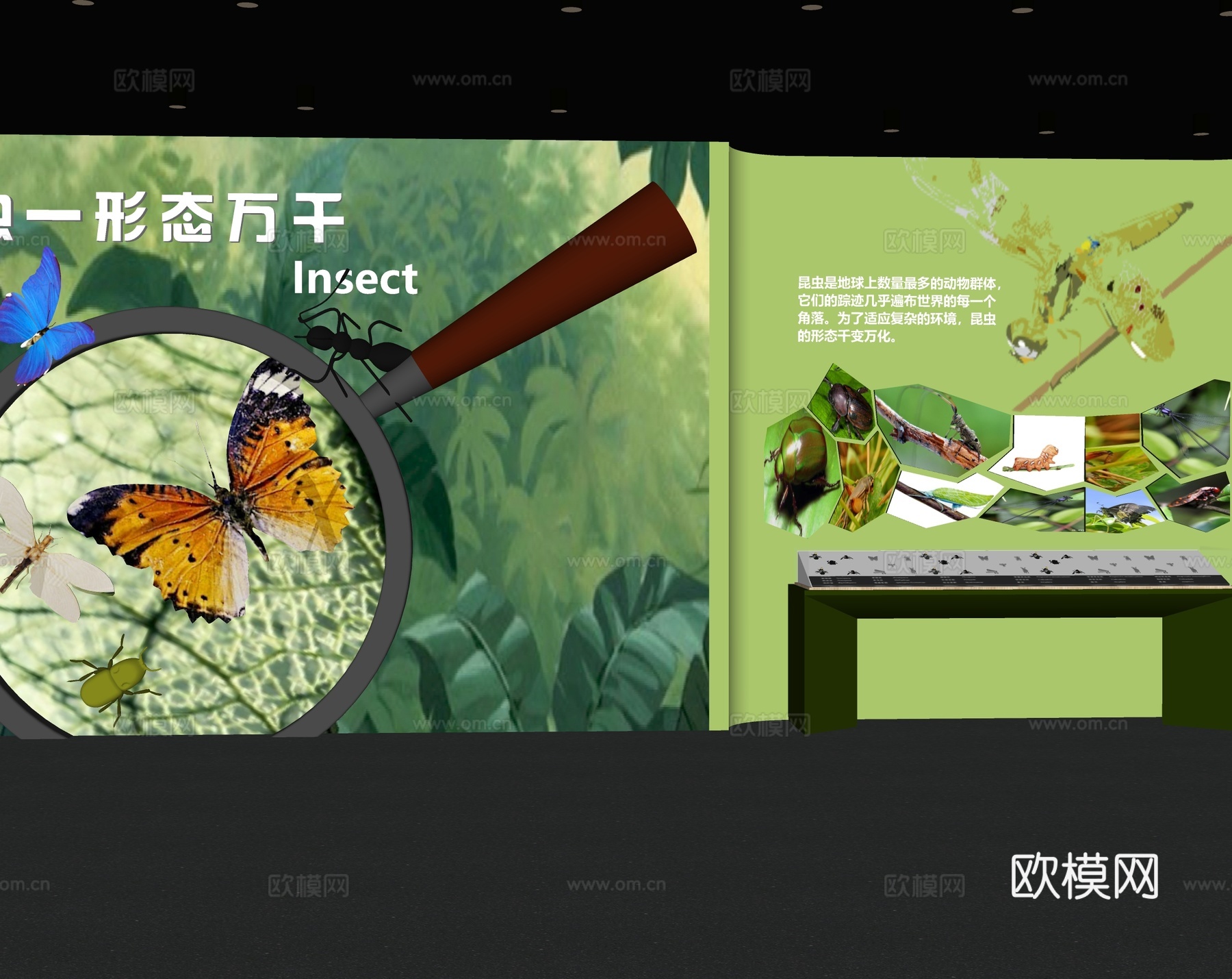 动物展厅 昆虫展厅  自然馆  生物展厅  蝴蝶展厅su模型