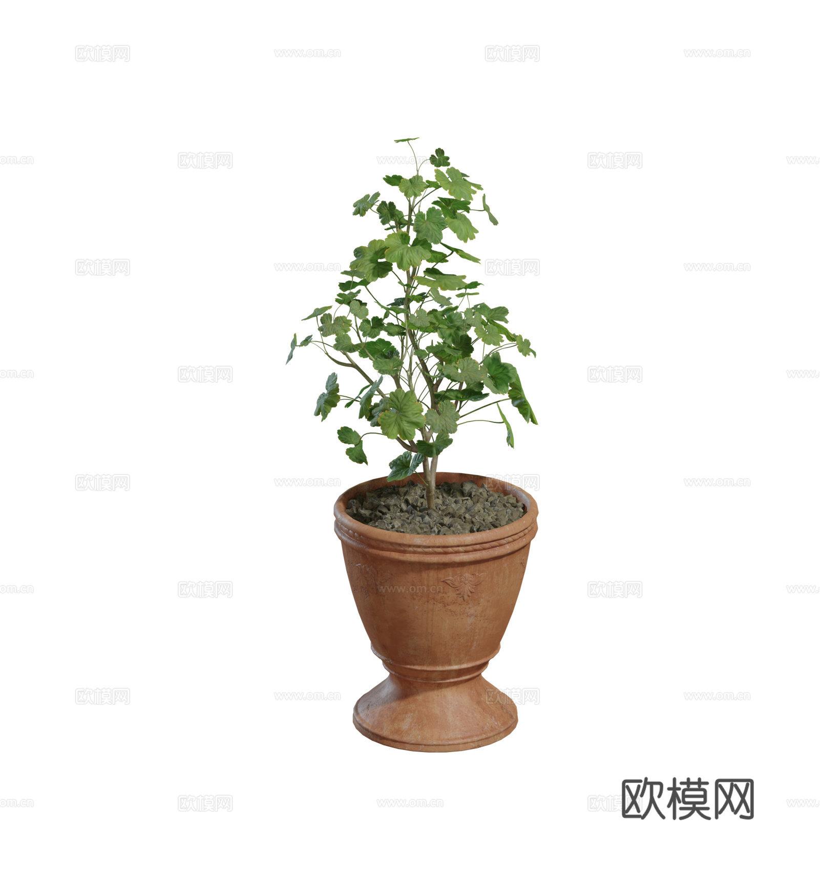 现代盆栽 陶土盆栽 陶罐盆栽绿植su模型