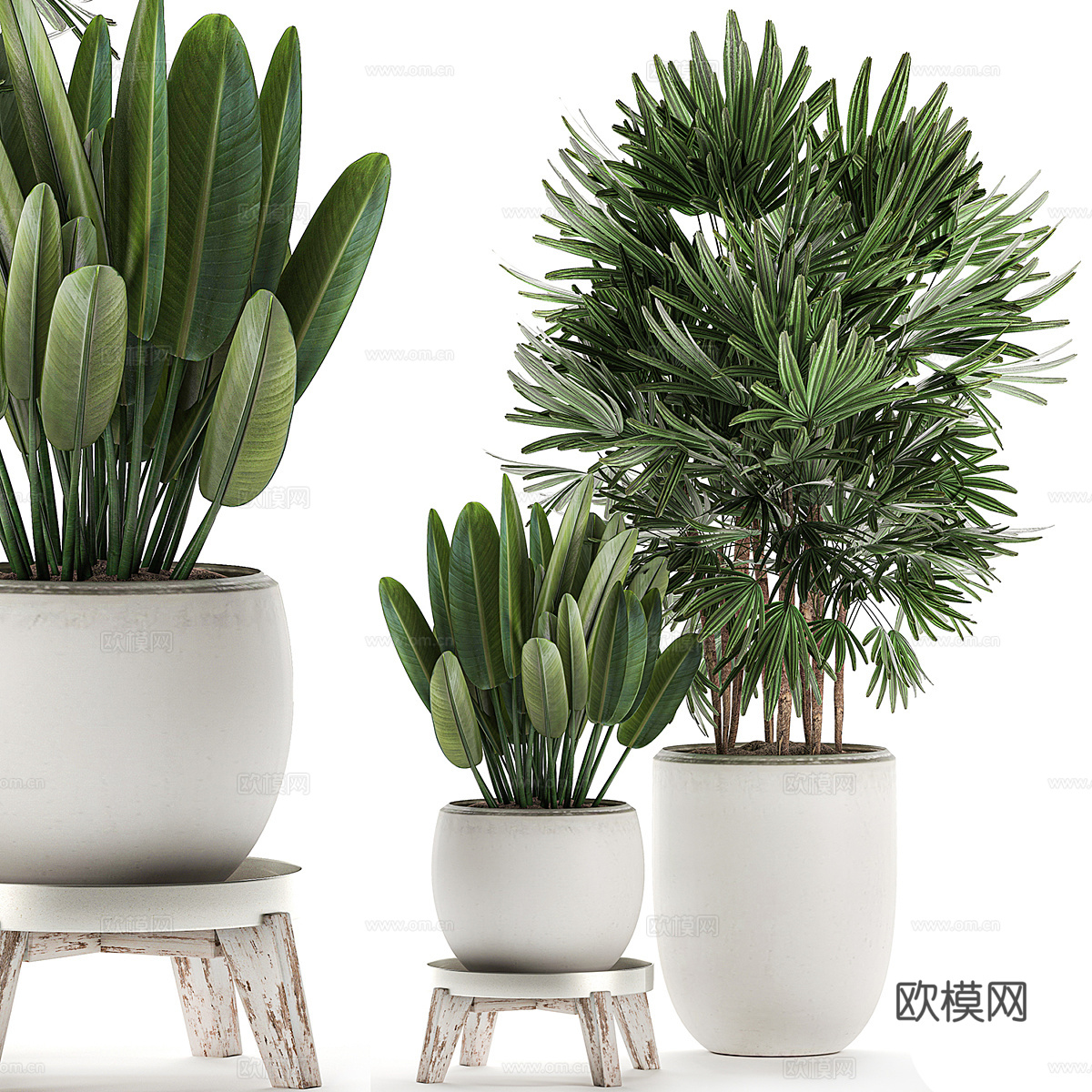 现代侘寂绿植盆栽3d模型