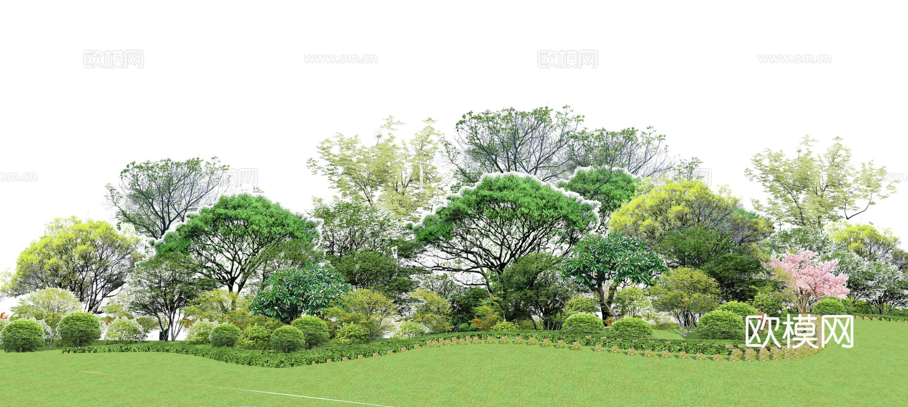 现代景观树su模型下载
