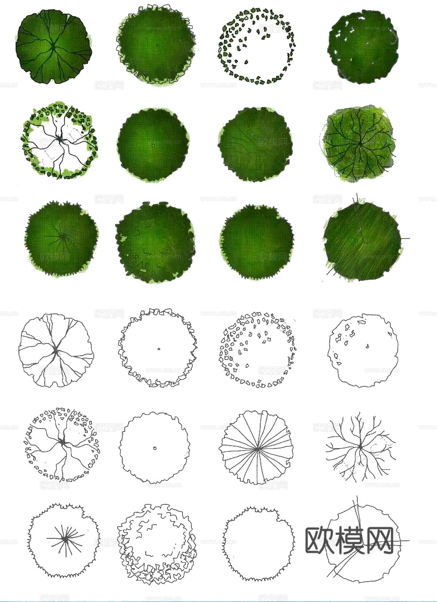 彩平植物免抠图