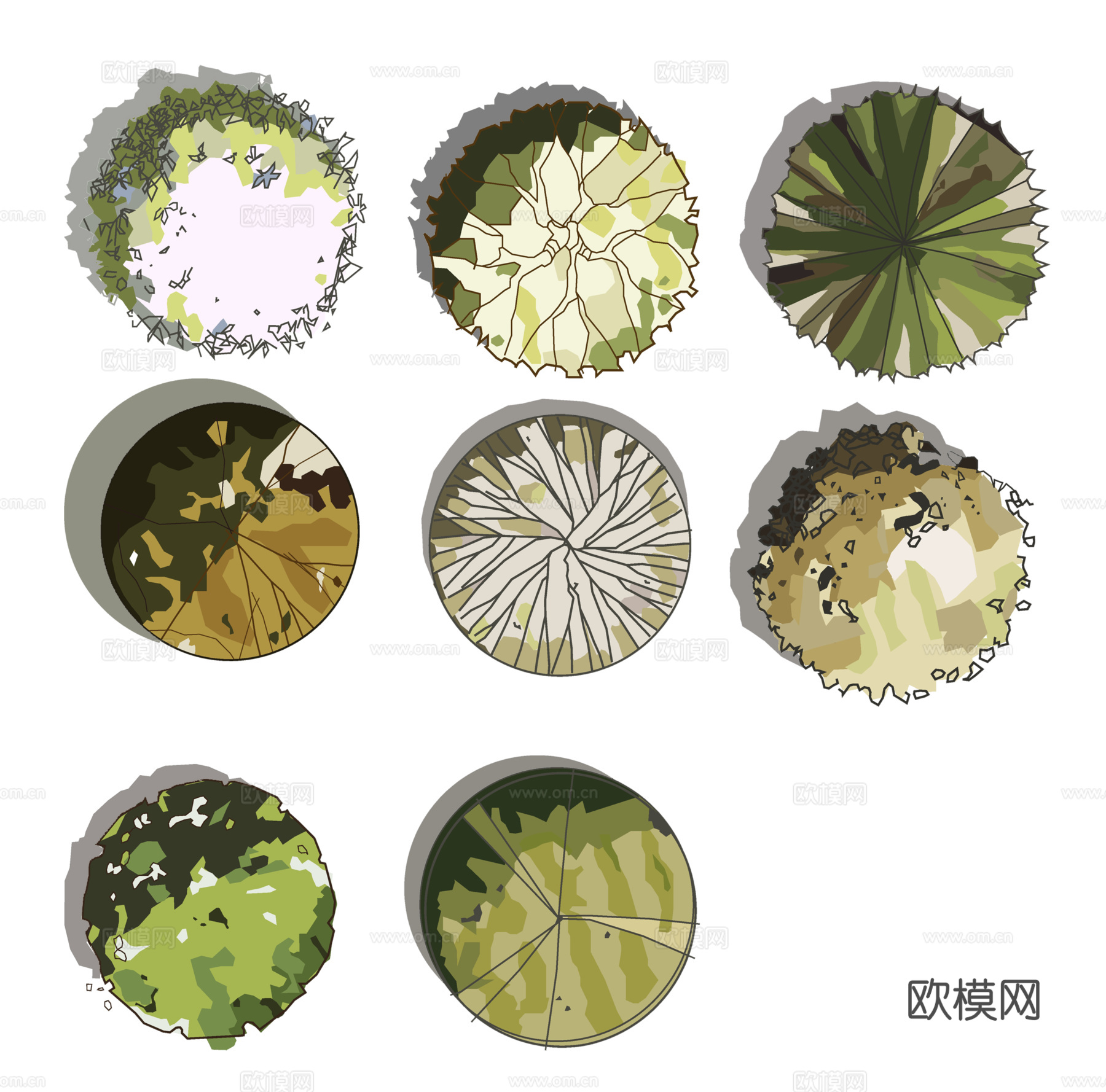 彩平植物免抠图