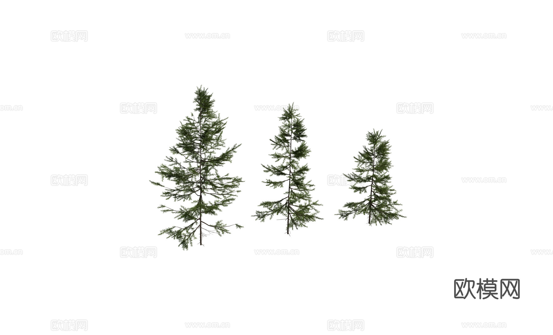 现代乔木 松树类 雪松 柏树类植物组合3d模型
