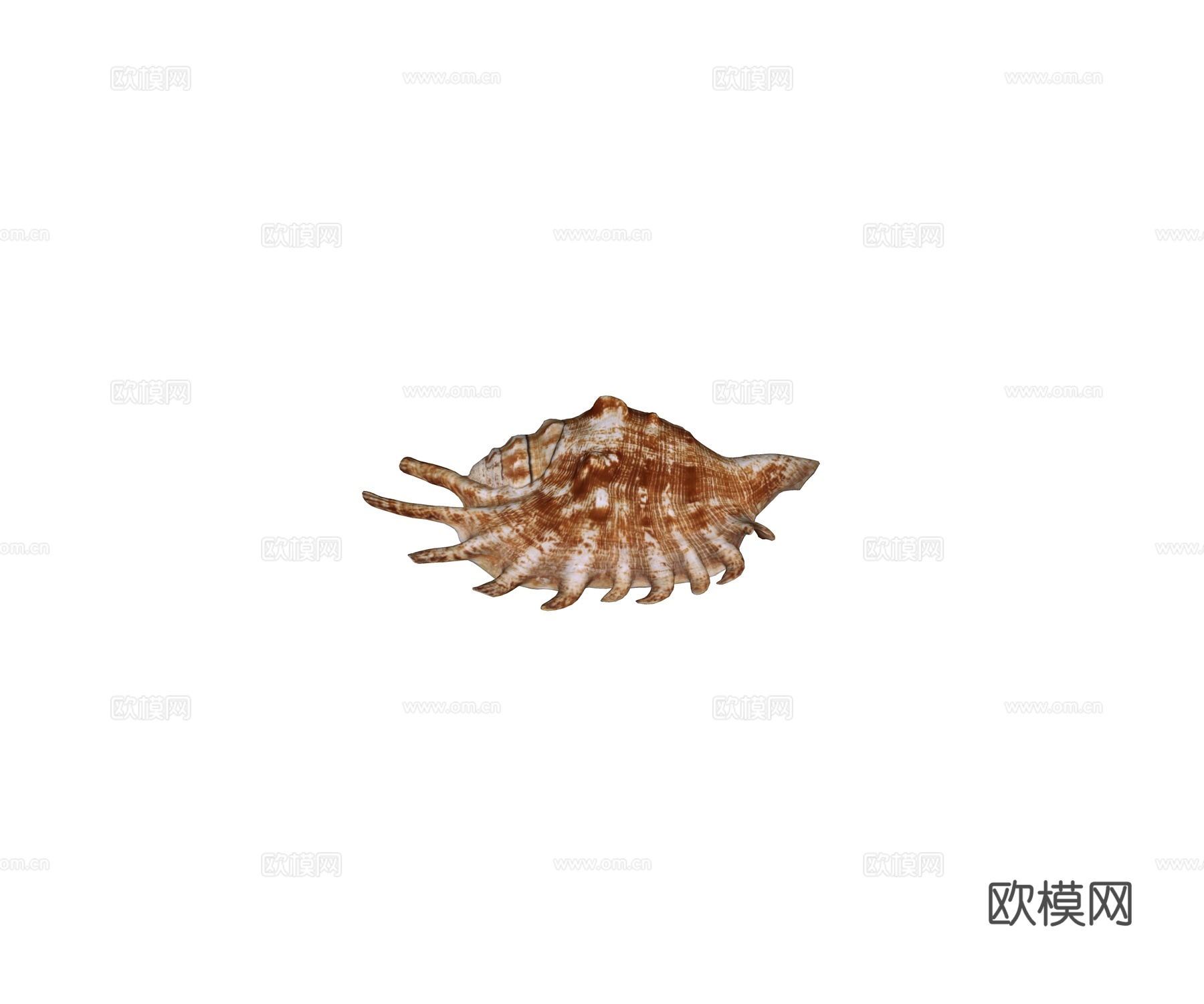现代海螺 贝壳 装饰摆件饰品su模型