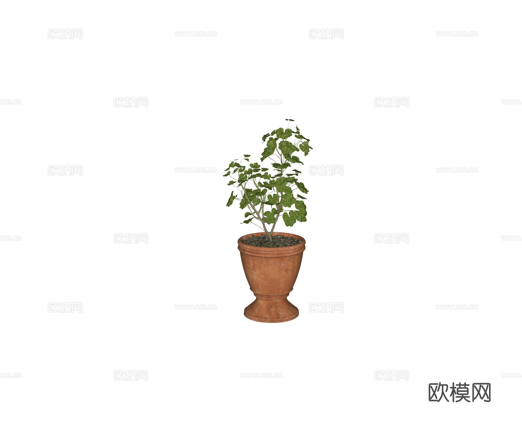 现代盆栽 陶土盆栽 陶罐盆栽绿植su模型