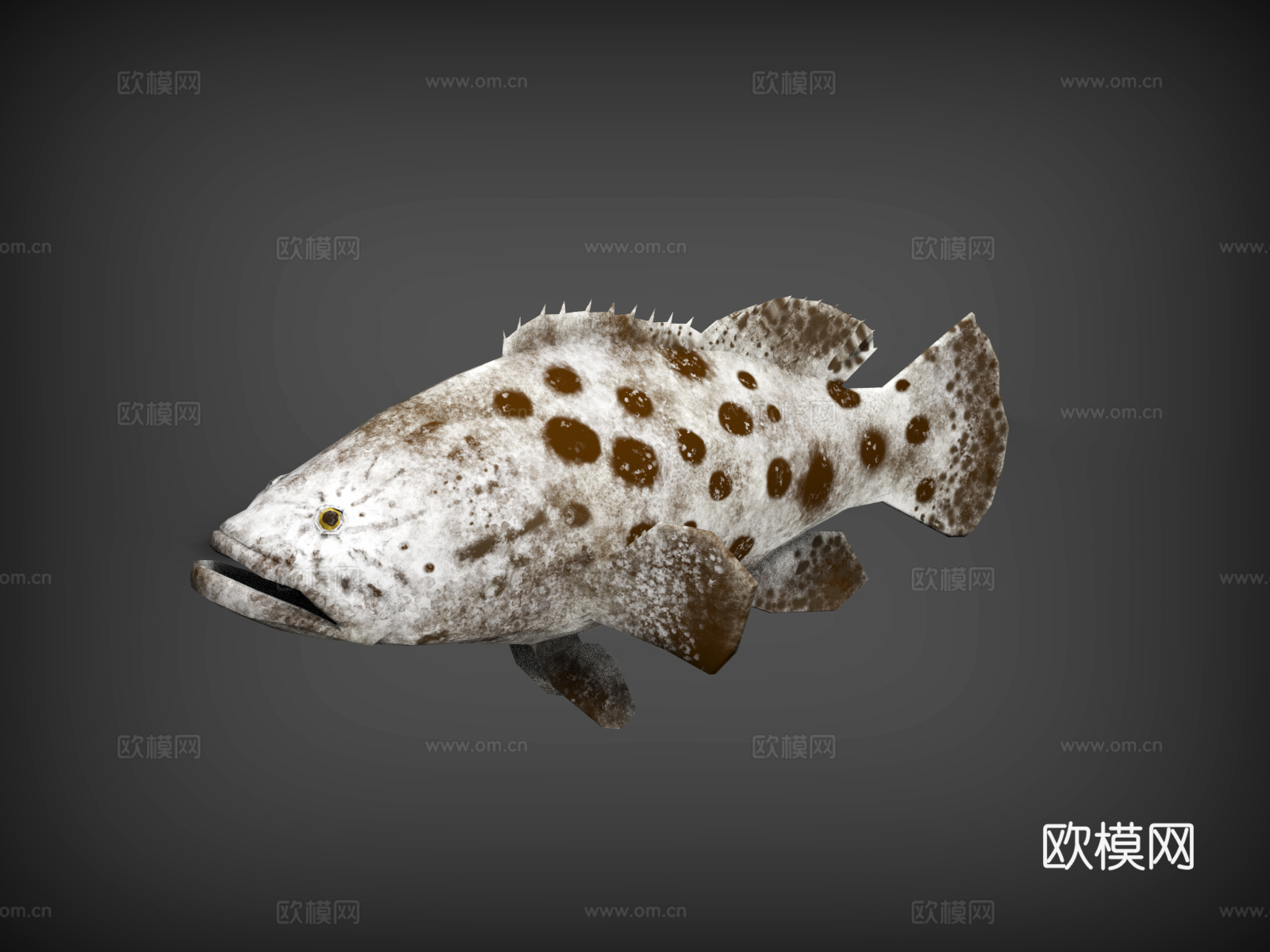 鱼  海鱼  淡水鱼  石斑鱼  土豆鱼3d模型