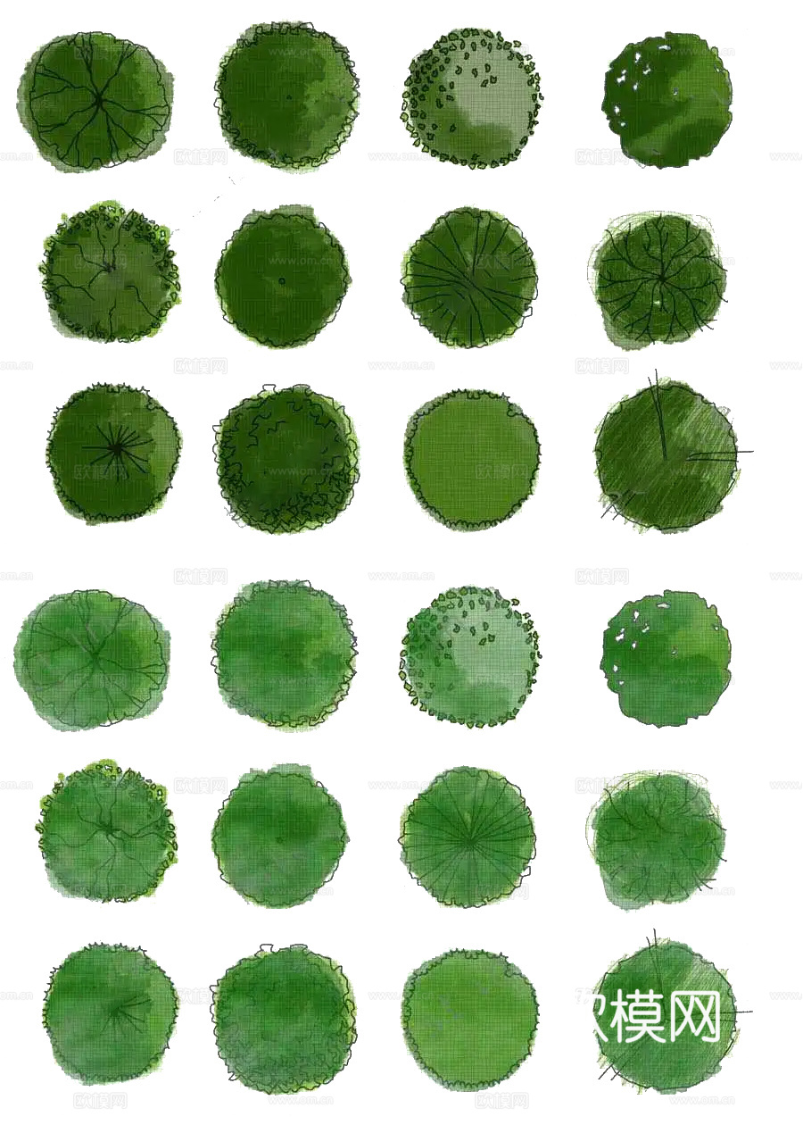 彩平植物免抠图