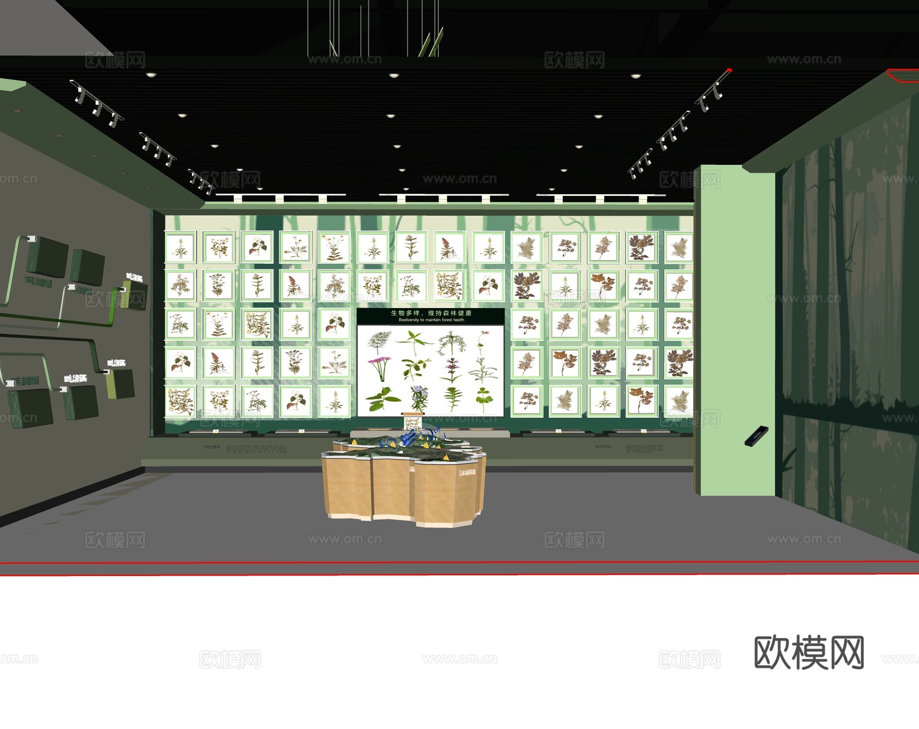 现代 展厅 药材展厅 植物标本su模型