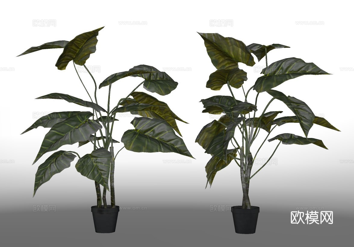现代绿植盆栽su模型下载
