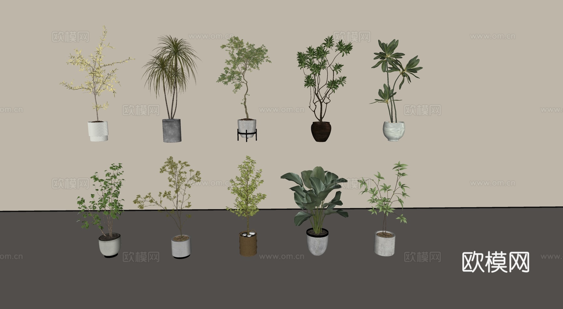 现代盆栽盆景绿植su模型