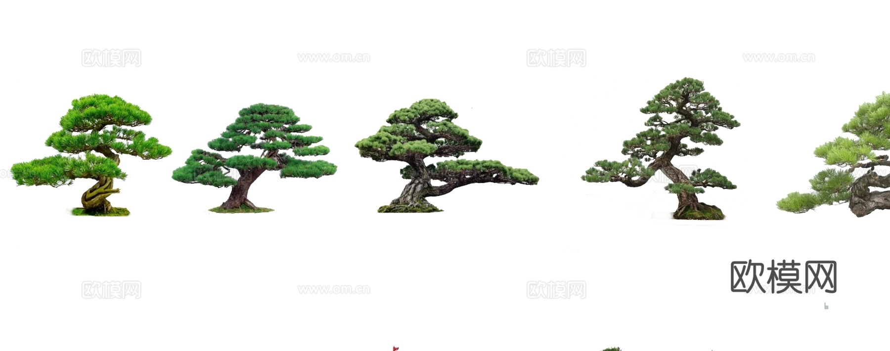 新中式罗汉松景观树su模型下载