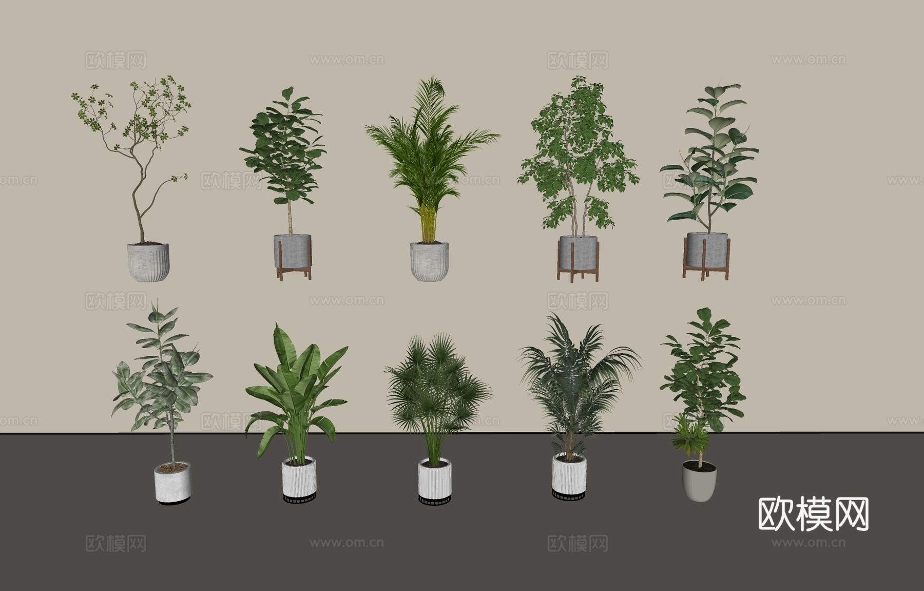 现代盆栽盆景绿植su模型