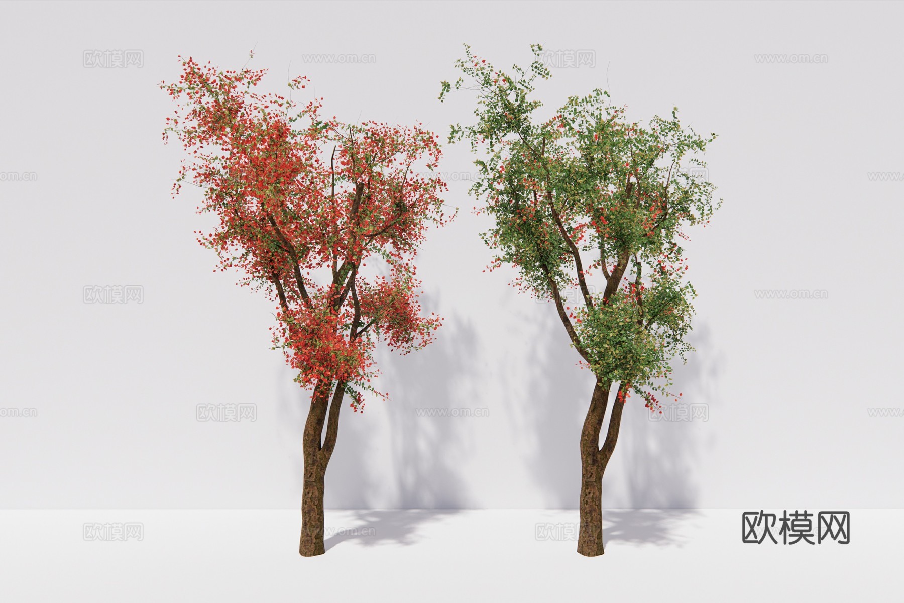 现代植物乔木su模型下载