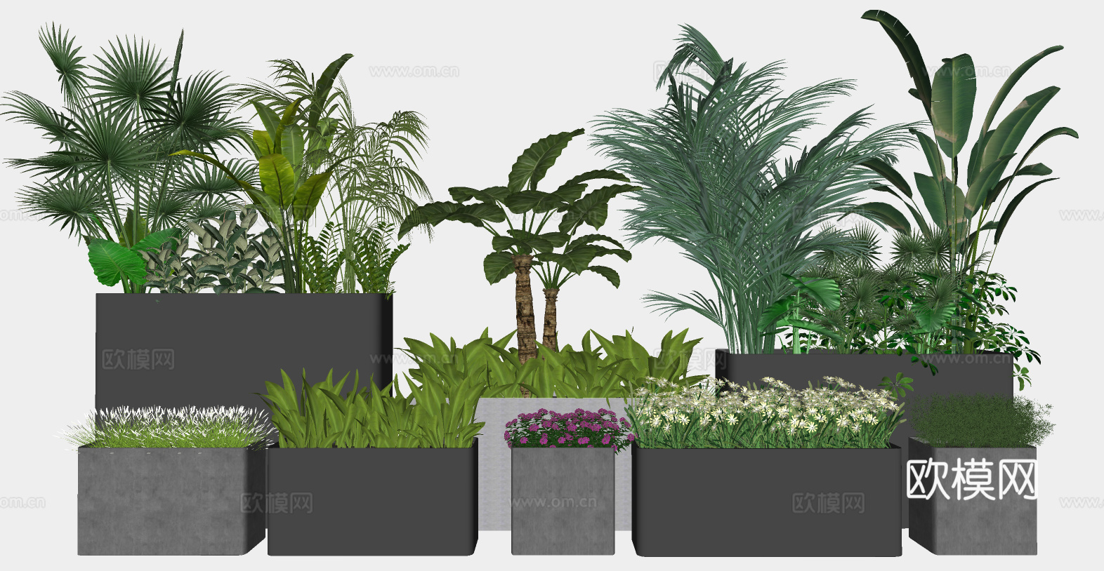 现代植物盆栽绿植花箱su模型