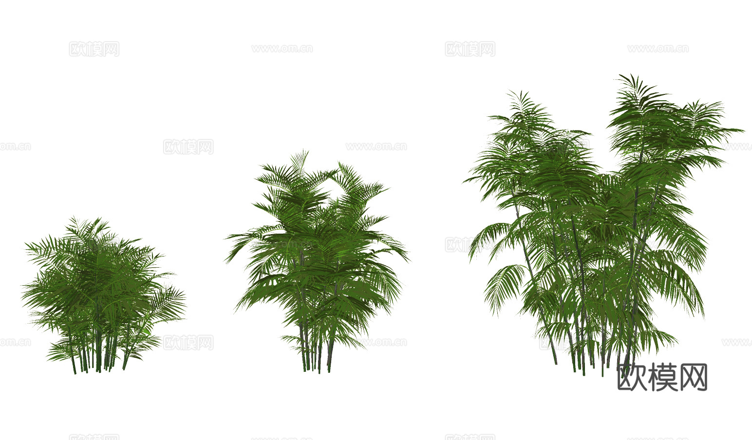 现代绿植灌木su模型下载