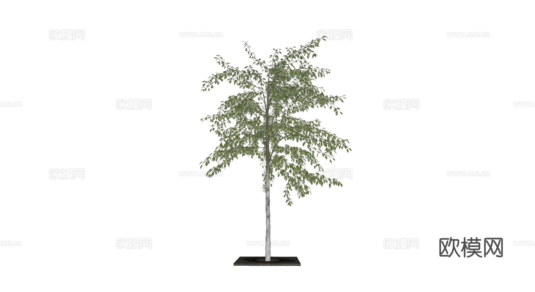现代景观树su模型下载