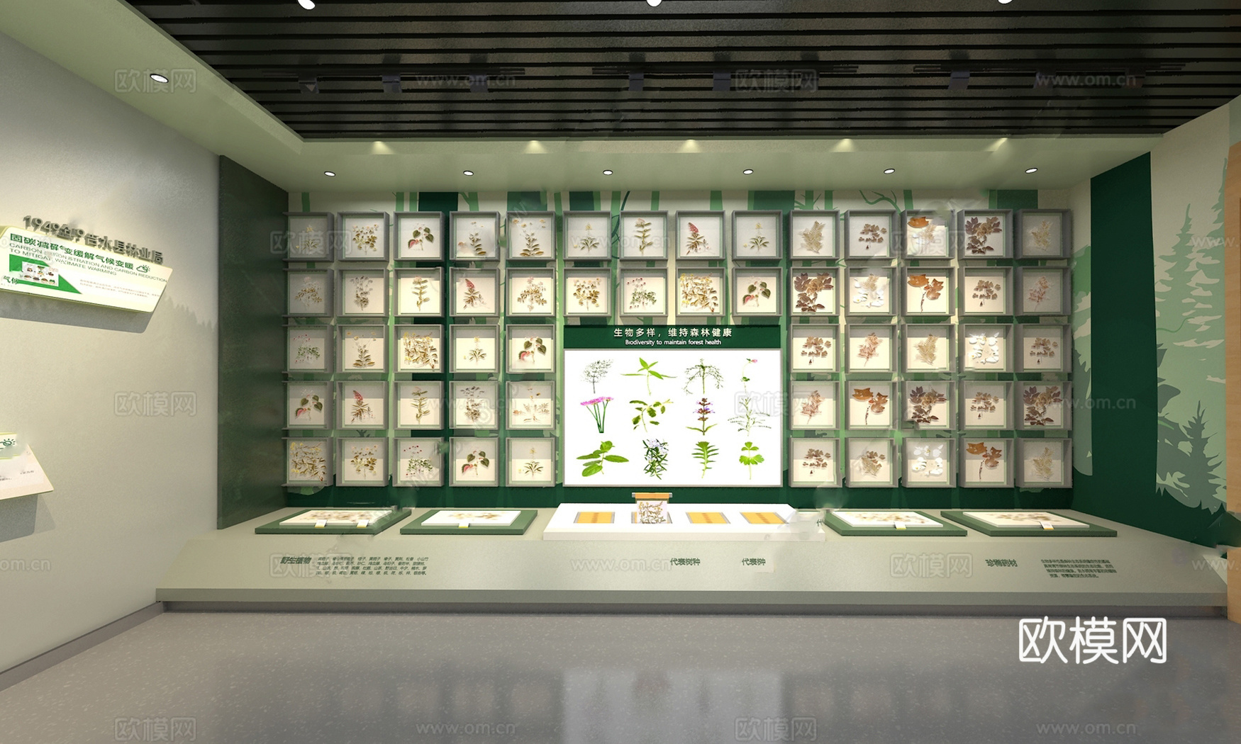 现代 展厅 药材展厅 植物标本su模型