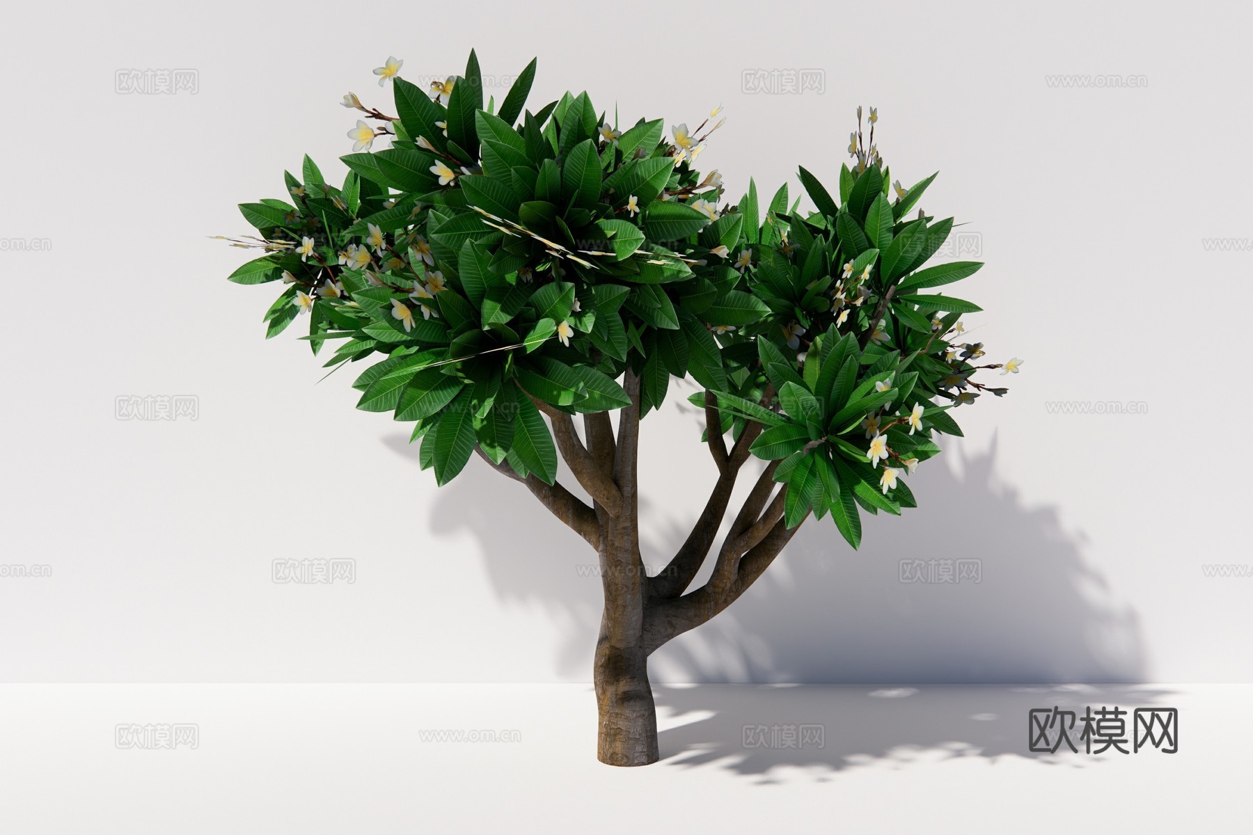 现代植物乔木su模型下载