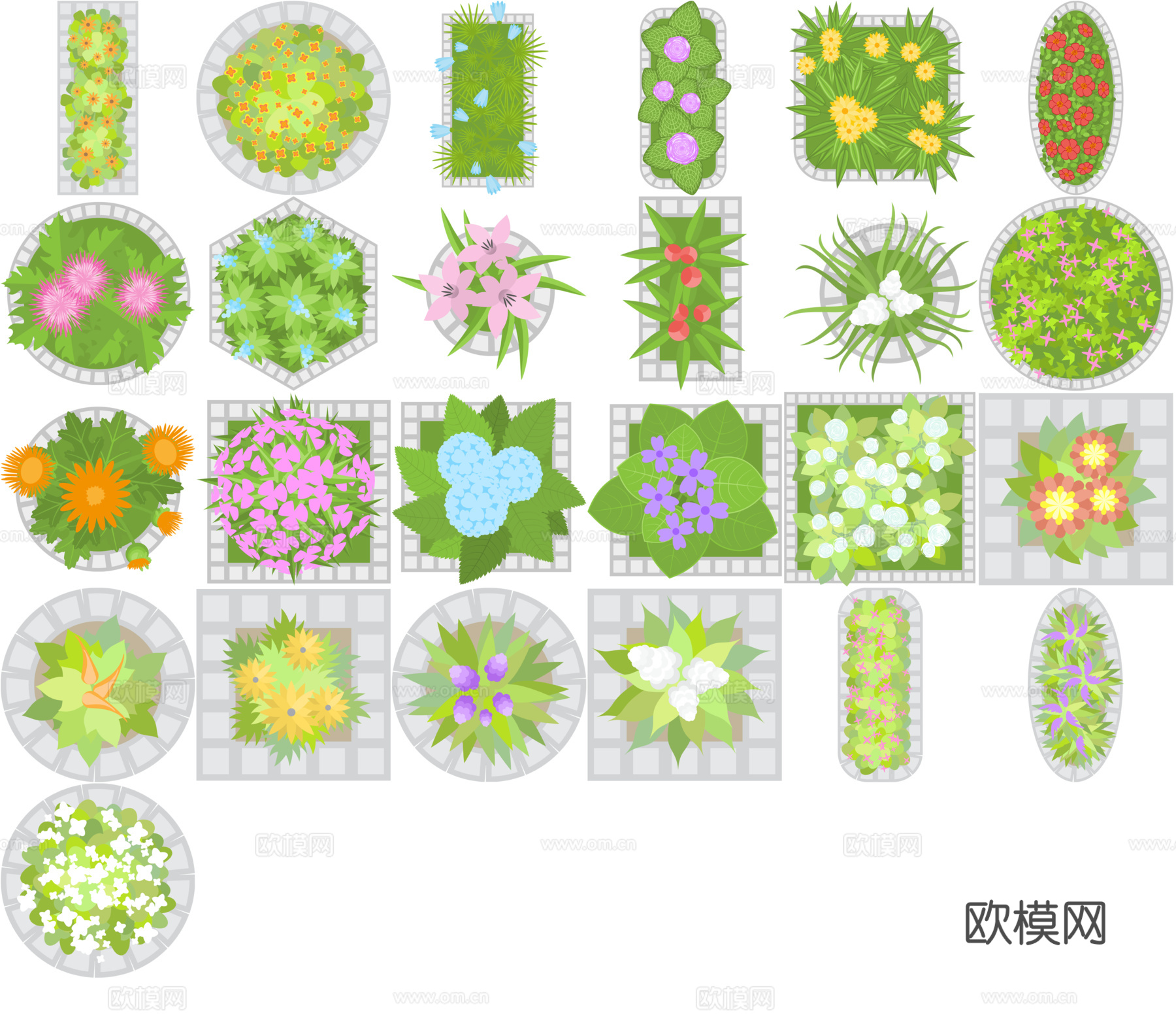 彩平植物免抠图