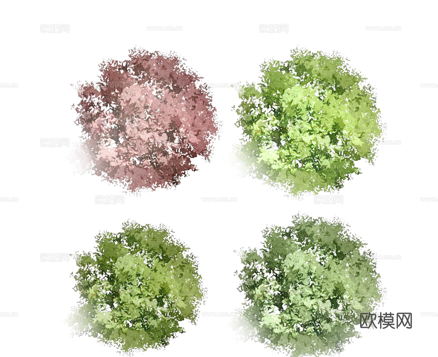彩平植物免抠图