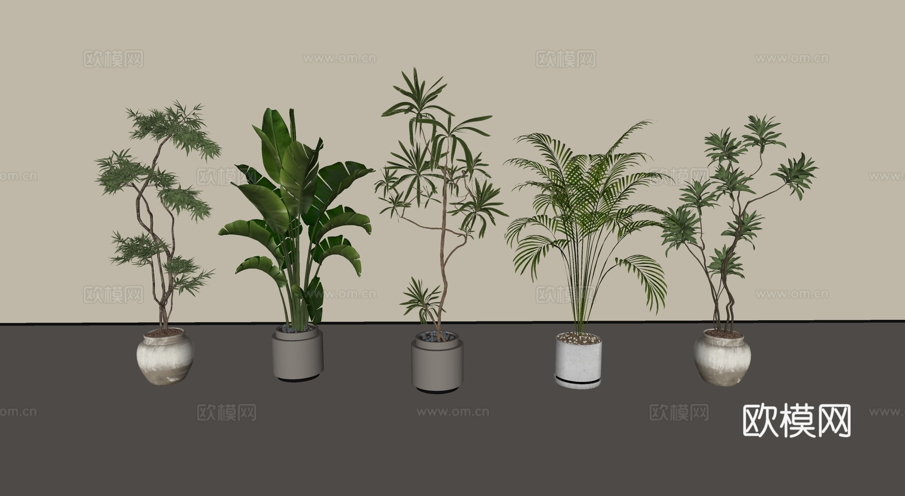现代盆栽盆景绿植su模型