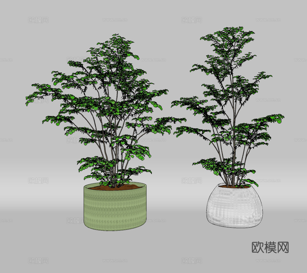现代绿植盆栽su模型下载