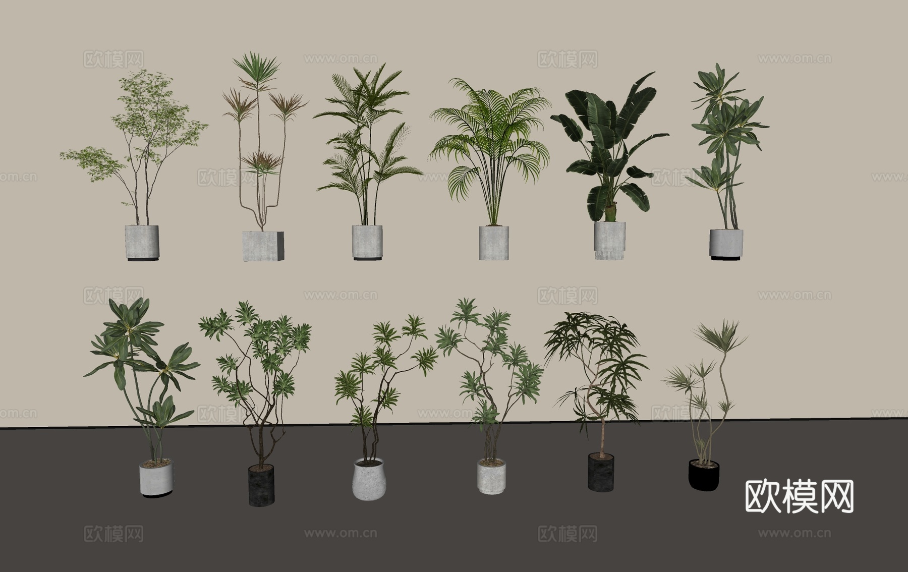现代盆栽盆景绿植su模型