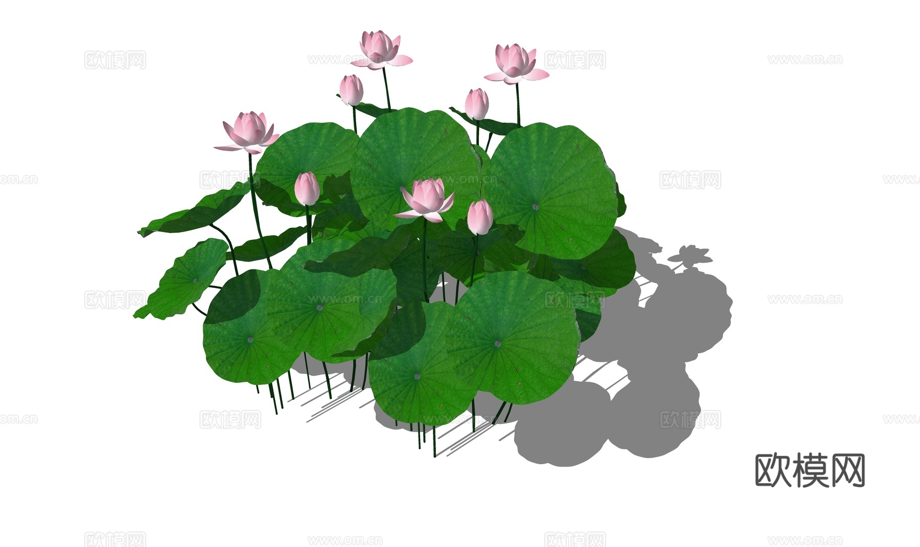 现代荷花su模型下载