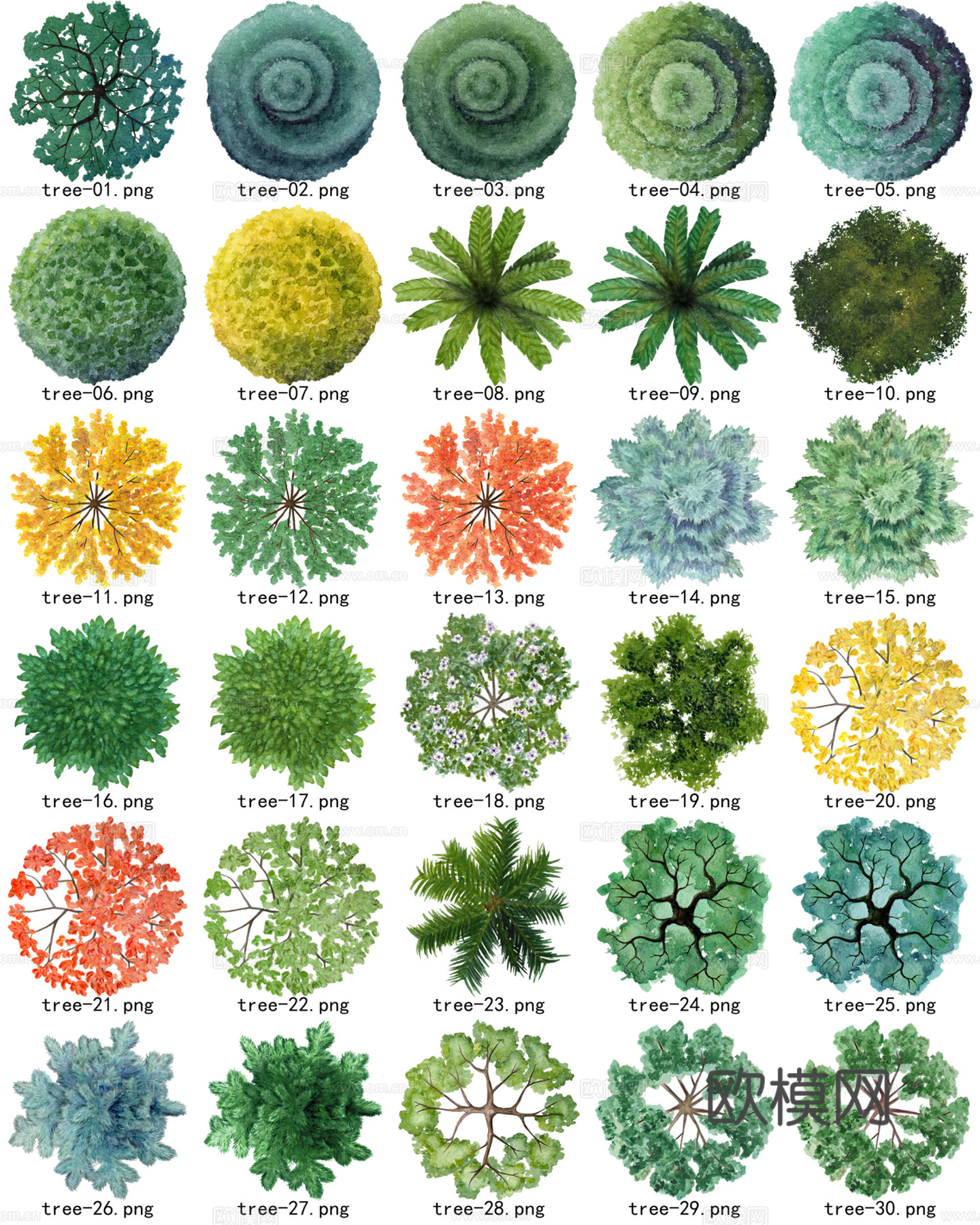 彩平植物免抠图