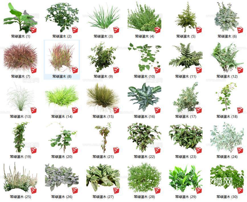 现代花草灌木su模型下载