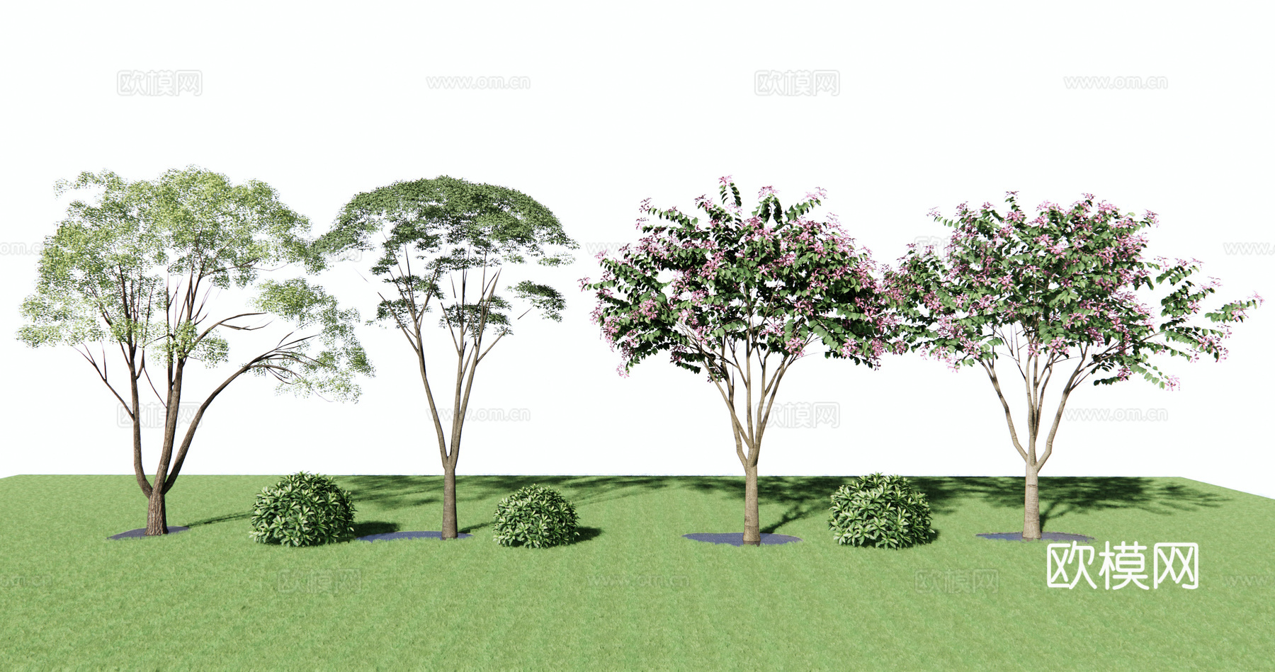 现代樱花树景观树su模型下载