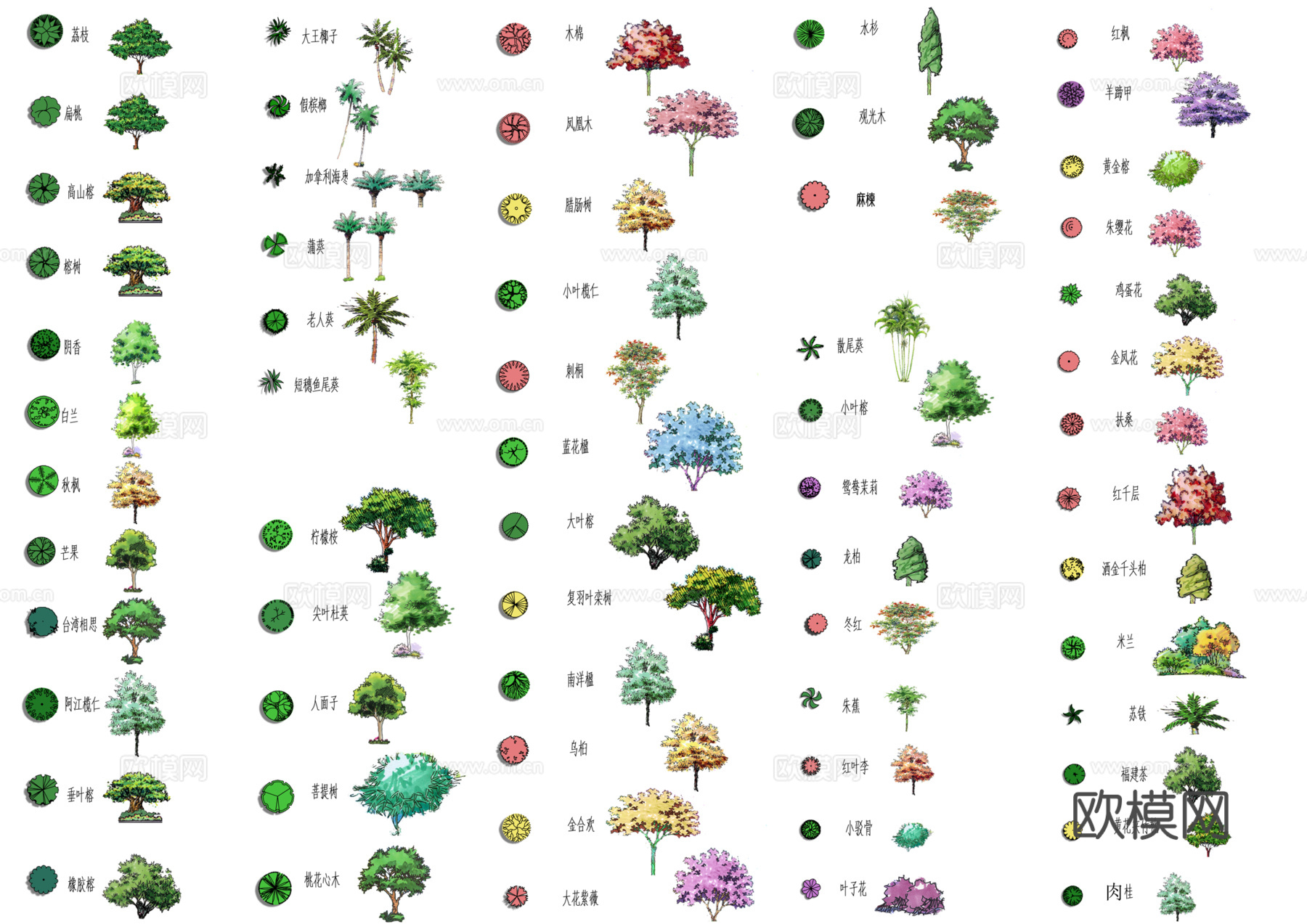 彩平植物免抠图