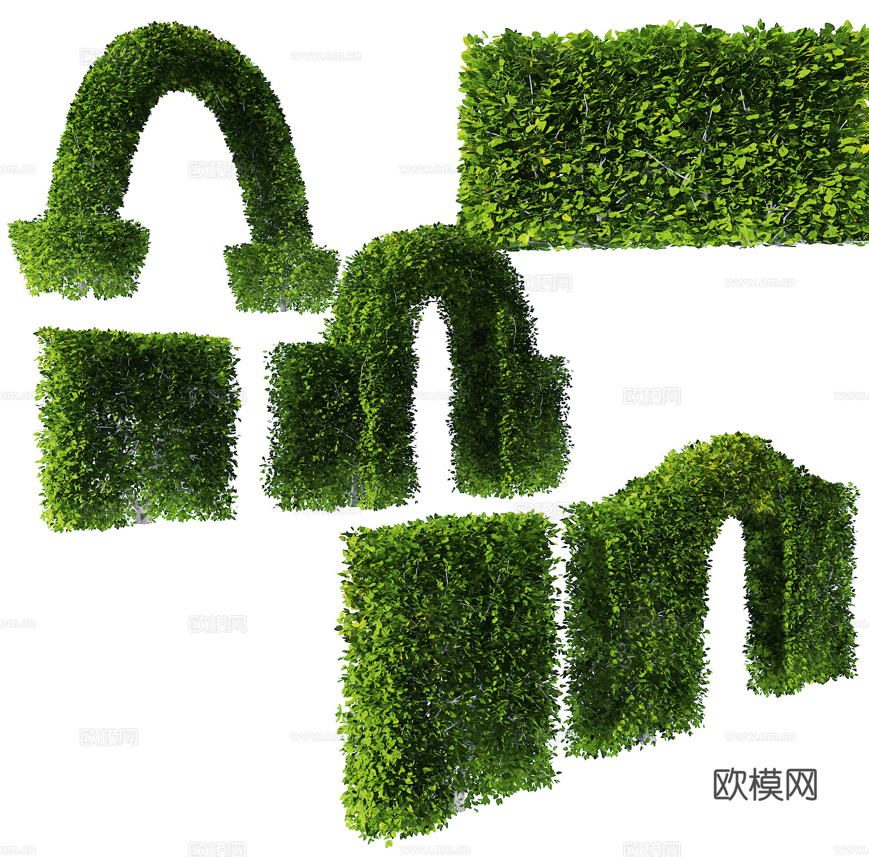 现代绿植灌木su模型下载