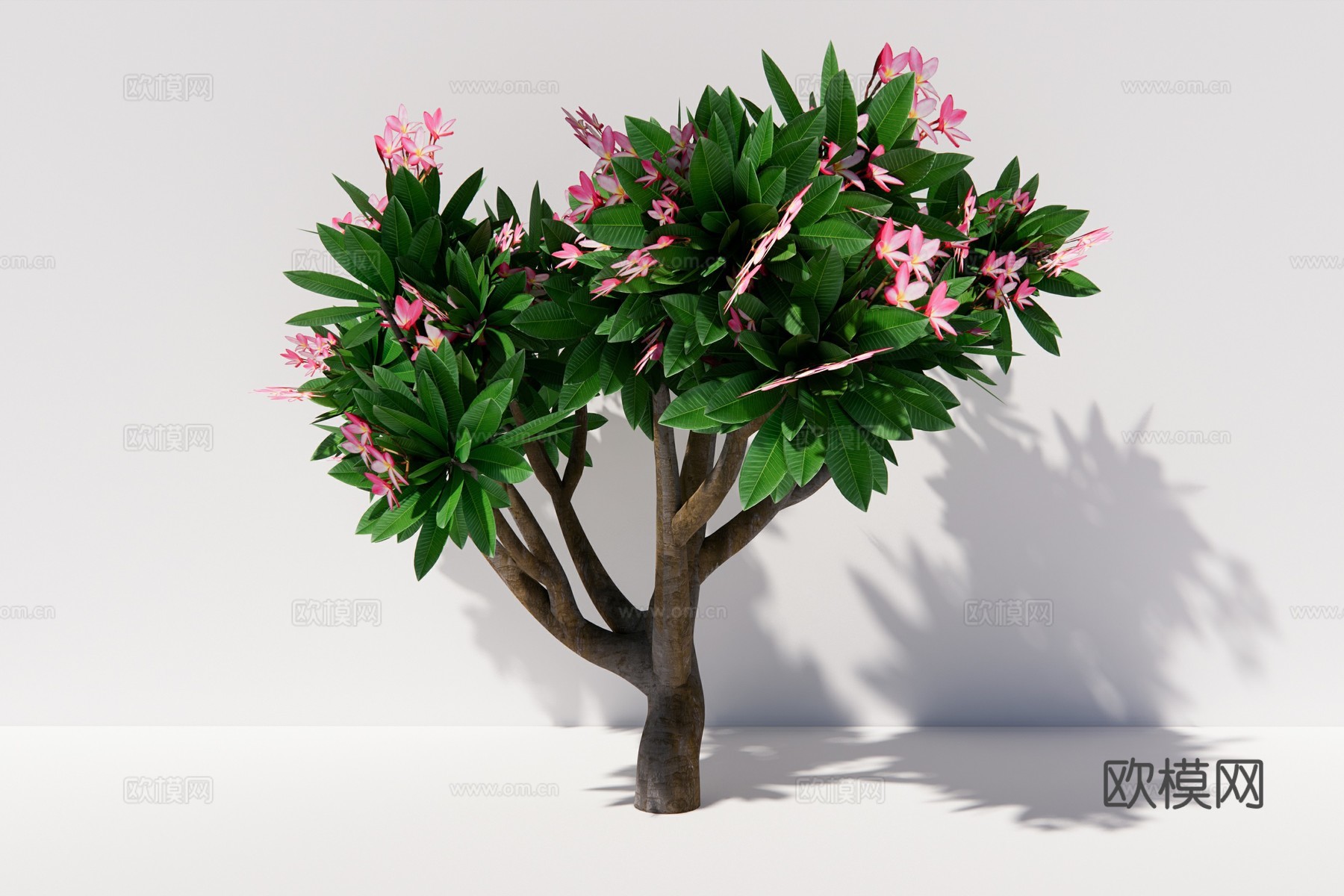 现代植物乔木su模型下载
