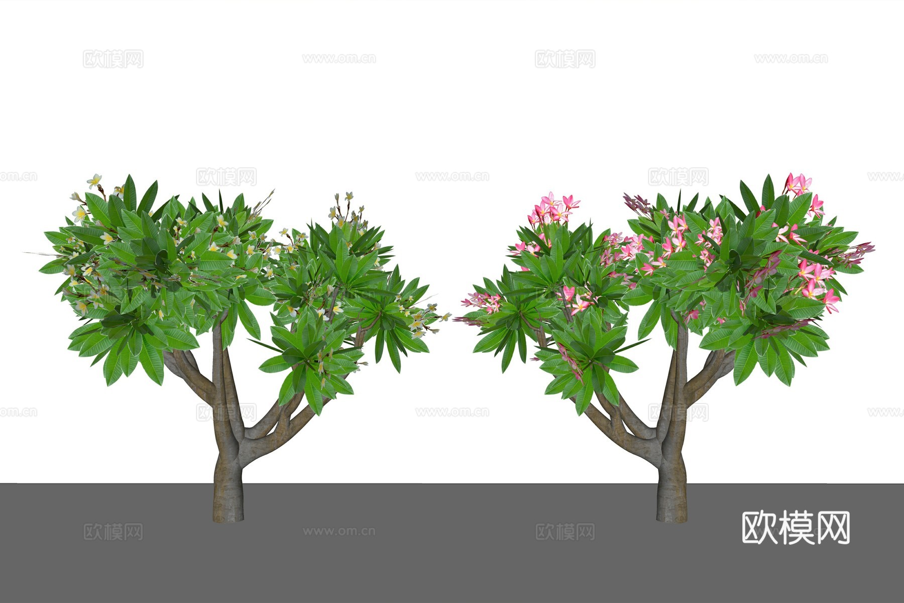 现代植物乔木su模型下载