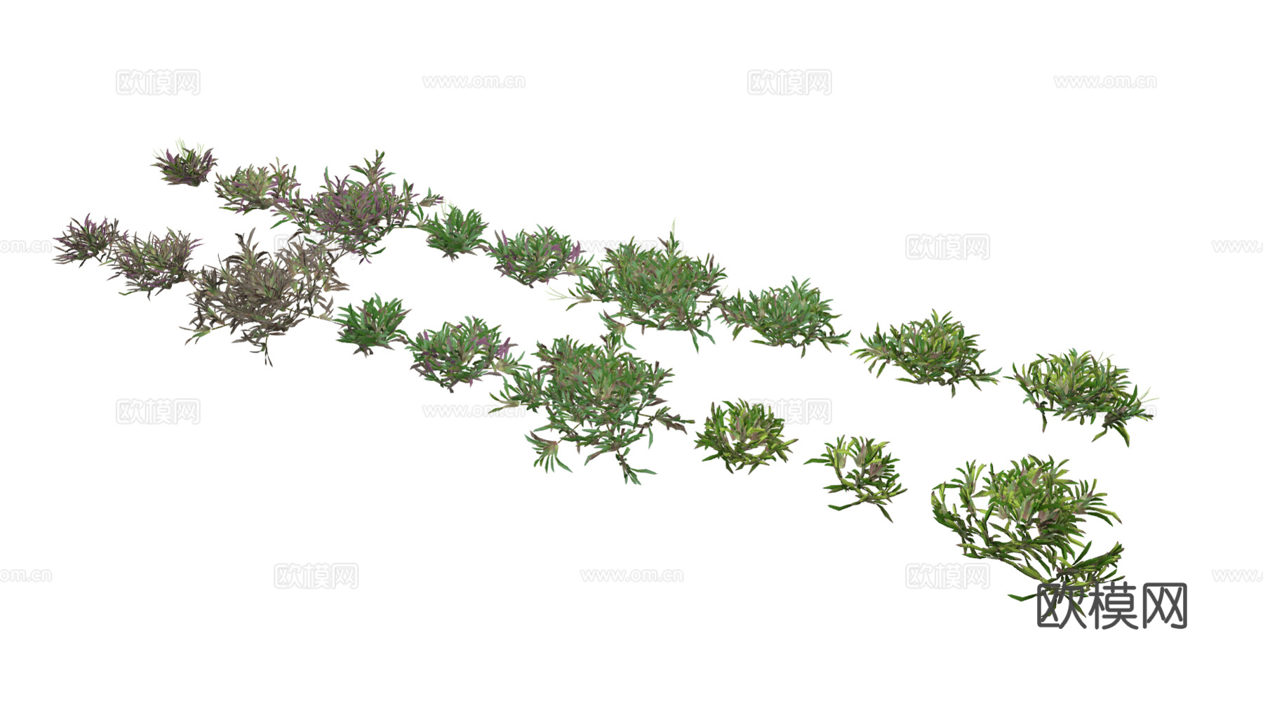 现代花草su模型模型下载下载