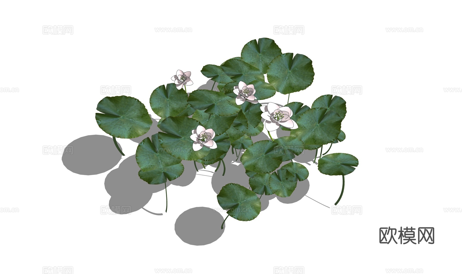 现代荷花su模型下载