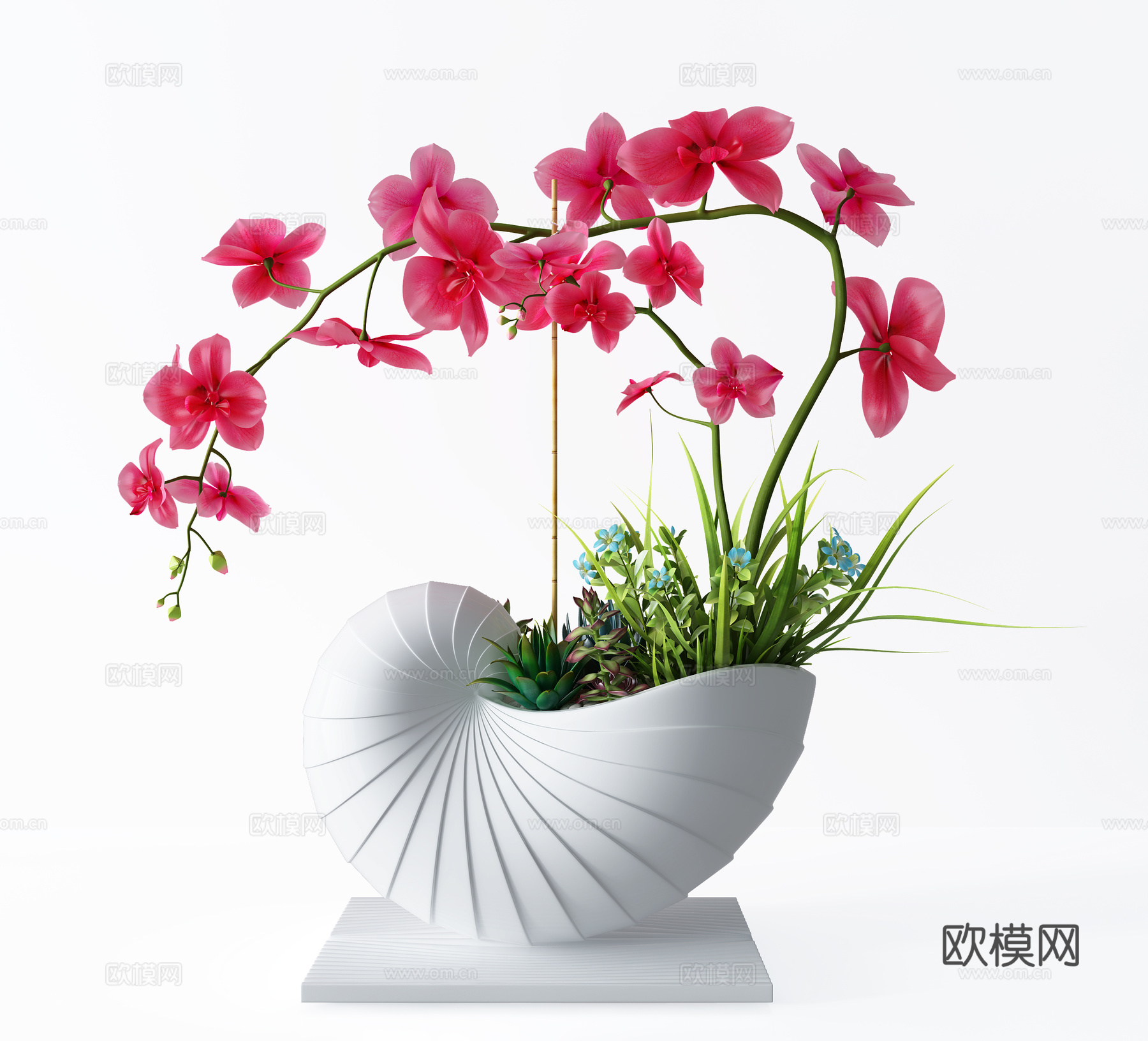 现代蝴蝶兰盆栽su模型下载