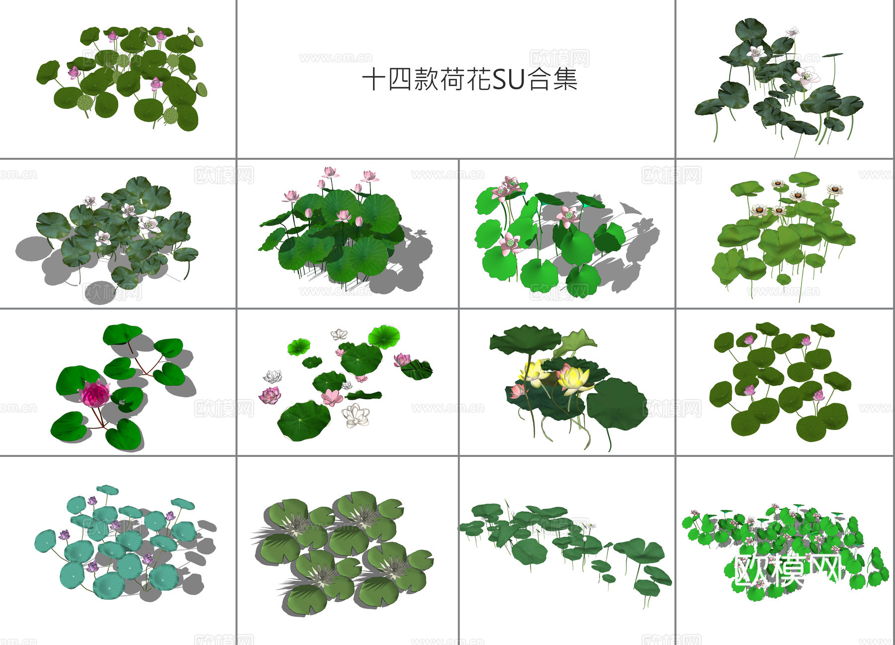现代荷花su模型下载