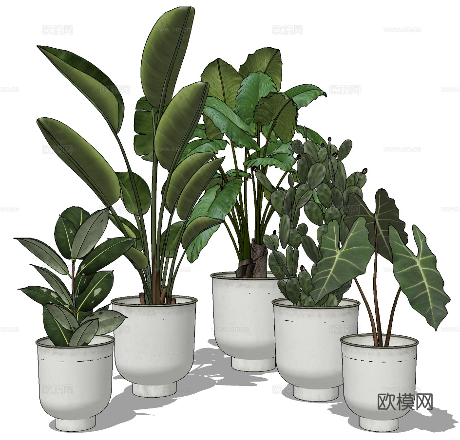 现代植物盆栽su模型下载