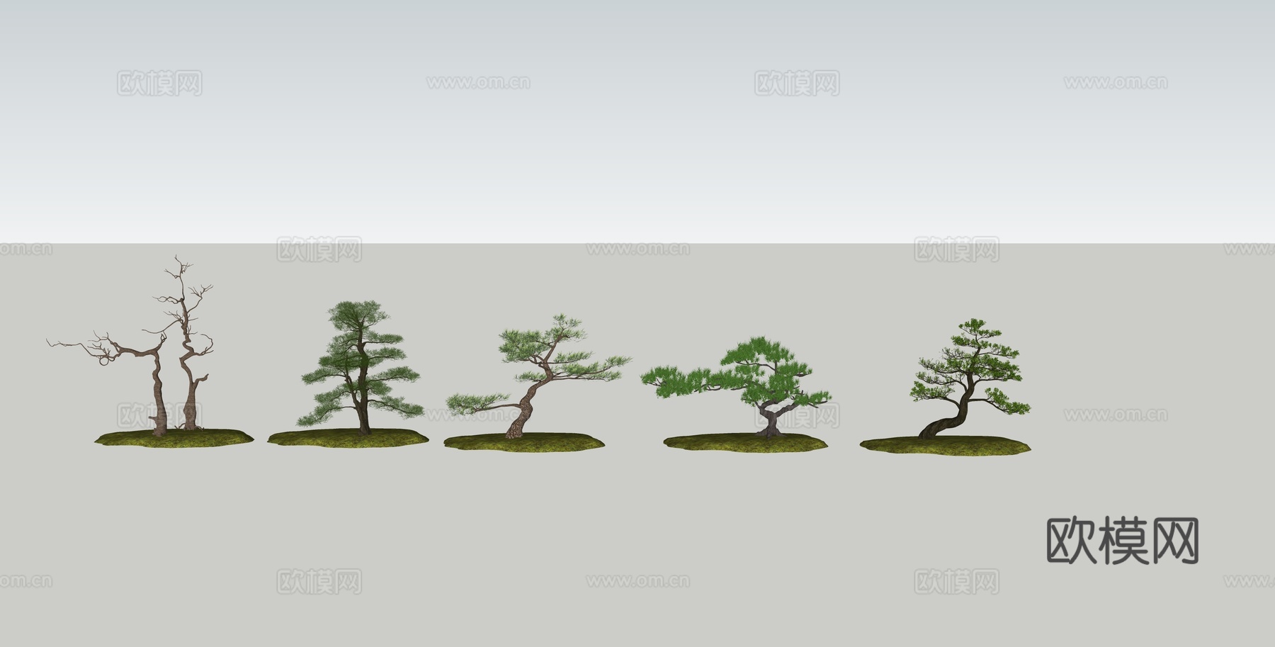 新中式松树景观树su模型下载